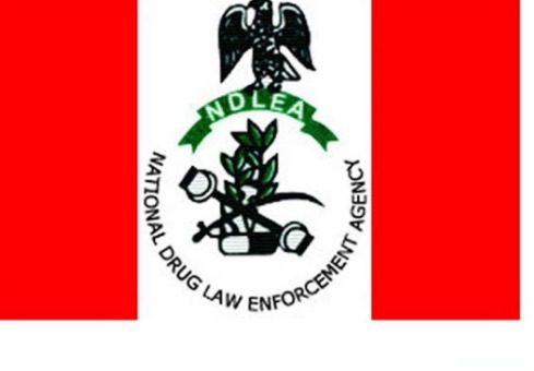 NDLEA Arrests Elderly Drug Dealers Targeting Teenage&nbsp;Students